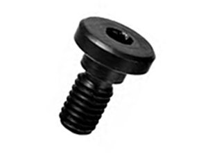 Slotted Lock Screws