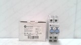 ALLEN BRADLEY 1489-A2D060 SERIES A CIRCUIT BREAKER 2 POLE 480Y/277V~