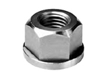 TE-CO 47609 FLANGE NUT SS 1-8