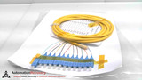MULTILINK 065-371-10, FIBER OPTIC PIGTAIL