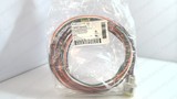 BRAD CONNECTIVITY 1R5000A20F060 CORDSET 5 PIN FEMALE STRAIGHT 6 FT