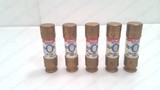 FERRAZ SHAWMUT TR15R, TRI-ONIC TIME-DELAY DUAL-ELEMENT FUSE