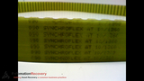 SYNCHROFLEX AT 10/1360 TIMING BELT