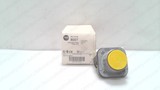 ALLEN BRADLEY 800T-A9D1 SERIES T NON-ILLUMINATED YELLOW PUSH BUTTON