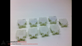 ALLEN BRADLEY 1492 CE - WHITE -  TERMINAL BLOCK, 500VAC
