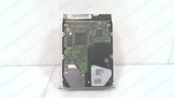 QUANTUM EX32A012 REVISION 01-C, CACHE 3.5 IN HARD DRIVE